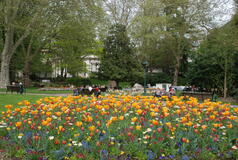 Parc floral des Thermes - Fleurissement de printemps